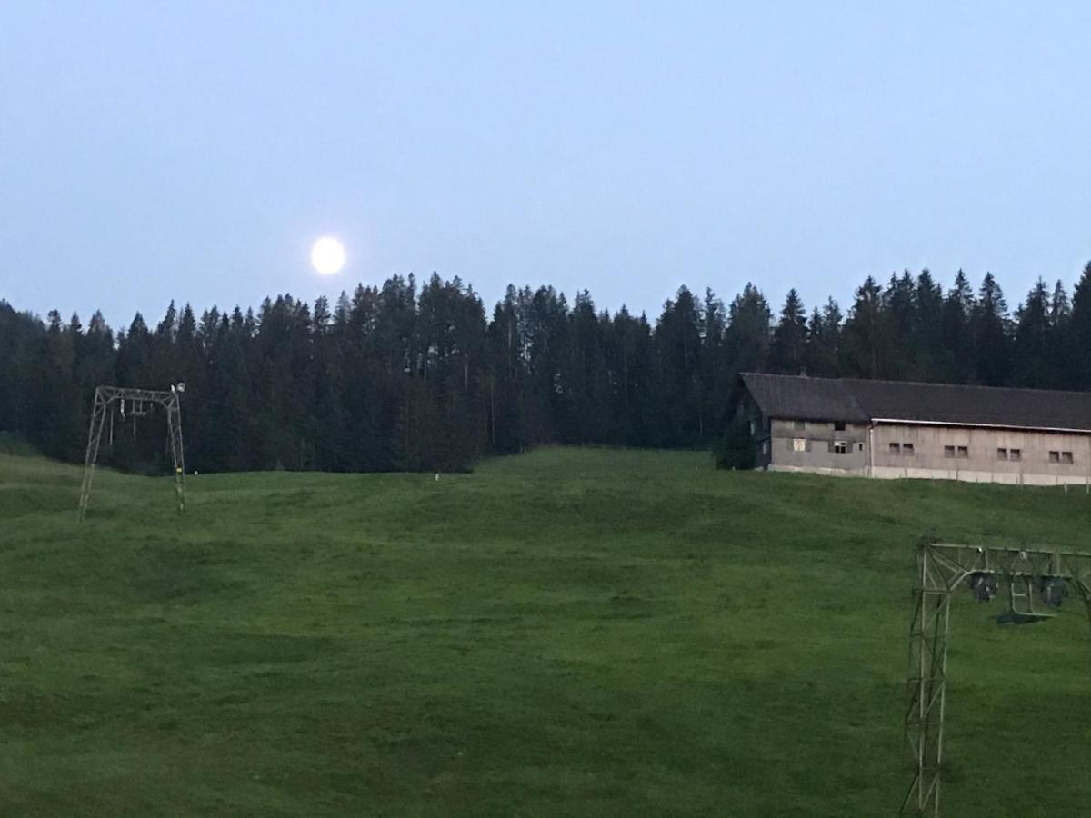 Kleine Ferienwohnung Am Rande Der Wildnis Sibratsgfäll 外观 照片