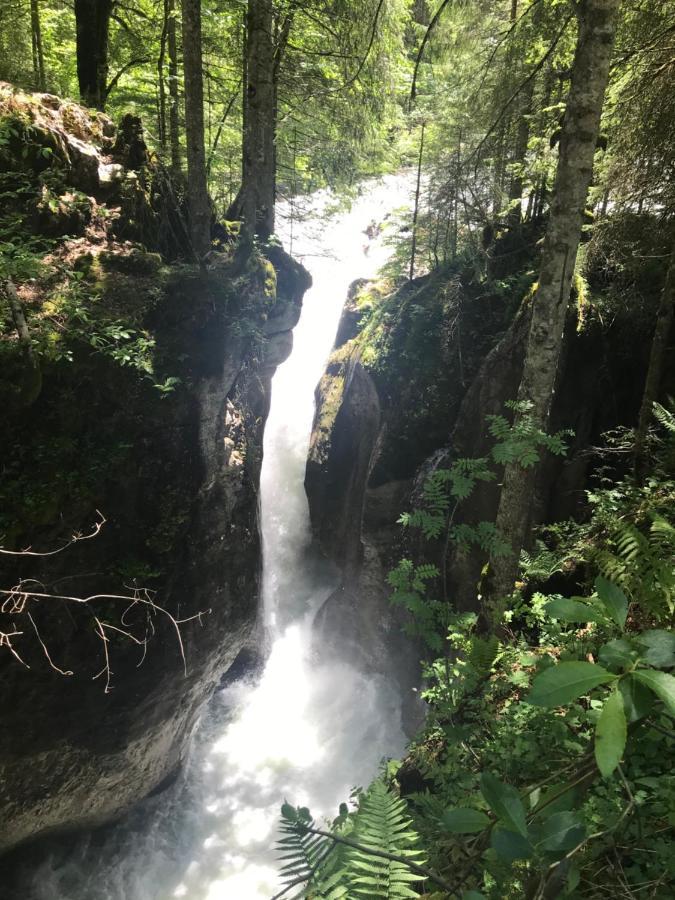 Kleine Ferienwohnung Am Rande Der Wildnis Sibratsgfäll 外观 照片