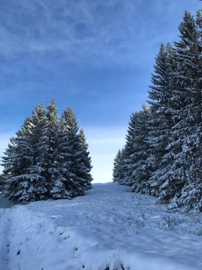 Kleine Ferienwohnung Am Rande Der Wildnis Sibratsgfäll 外观 照片