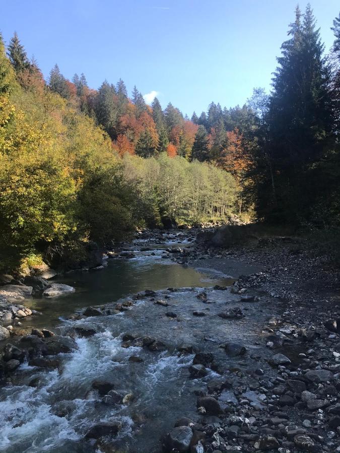 Kleine Ferienwohnung Am Rande Der Wildnis Sibratsgfäll 外观 照片