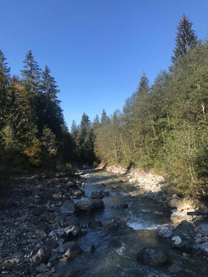 Kleine Ferienwohnung Am Rande Der Wildnis Sibratsgfäll 外观 照片